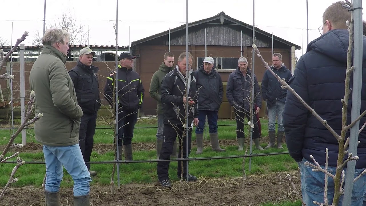 Snoeibijeenkomst Peter Mathà - 6 maart 2019