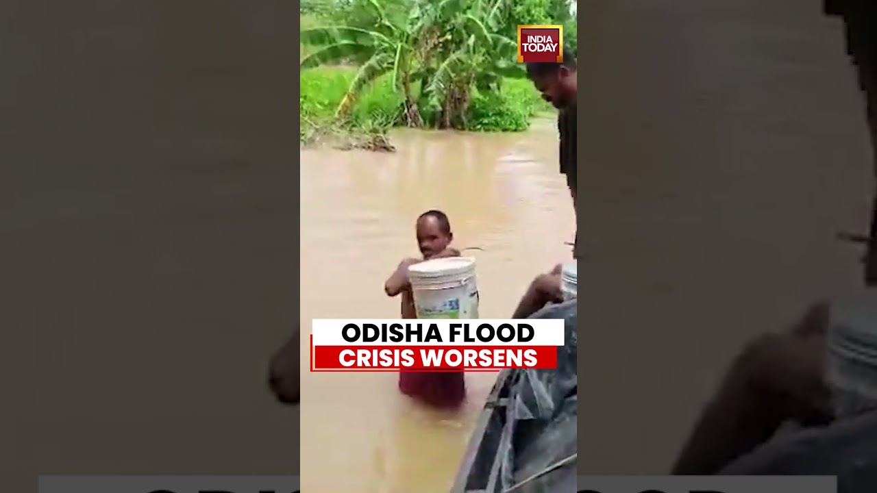 Odisha Floods: Thousands Stranded As Kendrapara Situation Worsens | Floods News