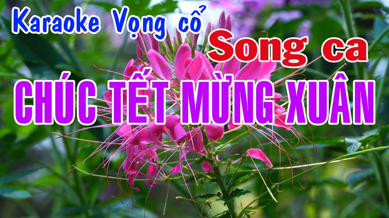 Karaoke vọng cổ CHÚC TẾT MỪNG XUÂN - SONG CA [Tác giả Nguyễn Hữu Nghĩa]