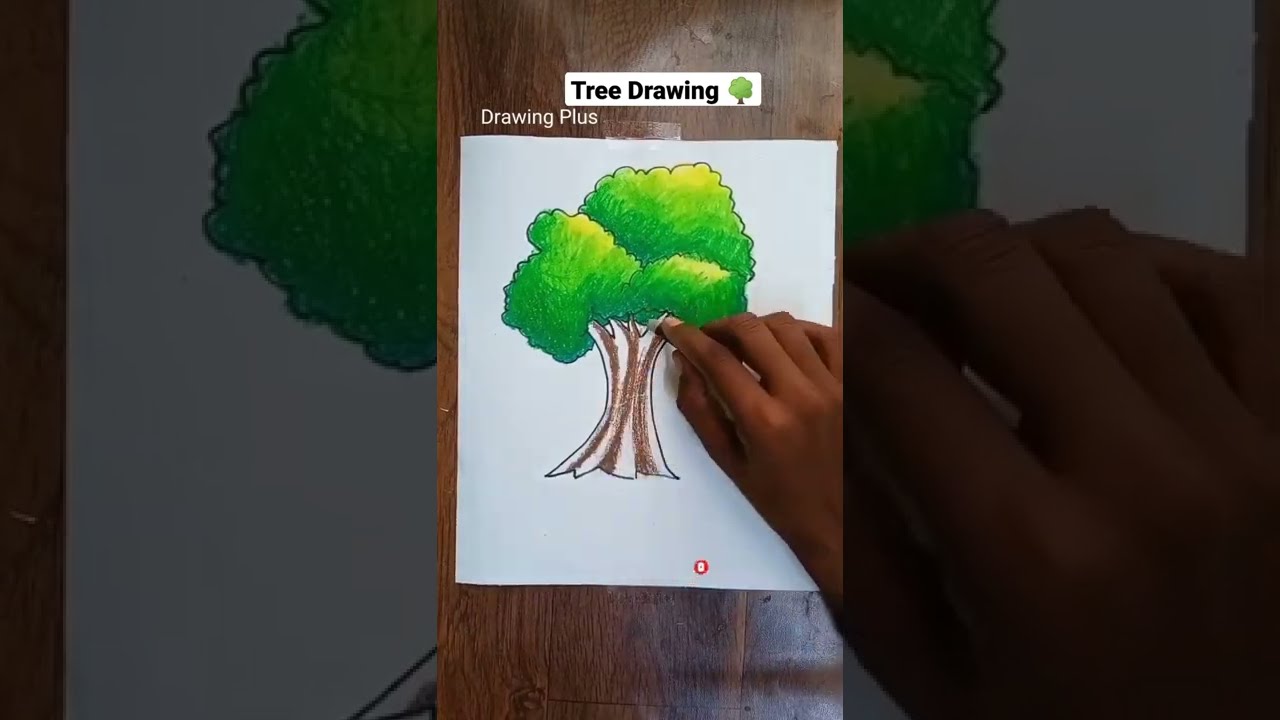How to draw Tree🌳 | Easy Tree Drawing | Drawing Plus #drawing #treedrawing
