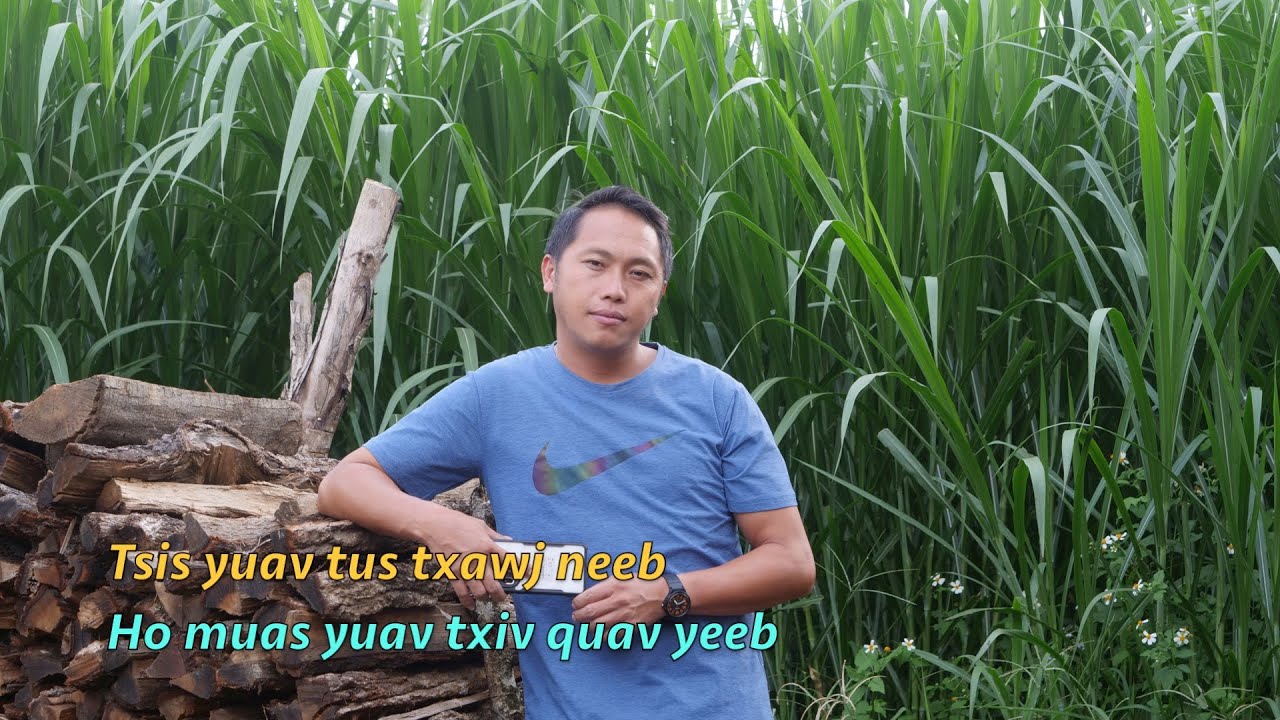 Tsis yuav tus txawj neeb ho mus yuav tus txiv quav yeeb 8/13/2025