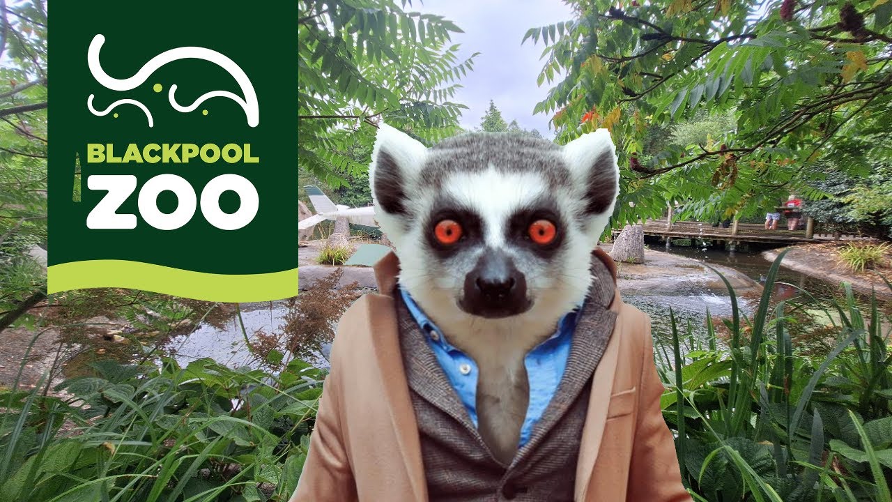 Blackpool Zoo: Exploring One of the UK's Top Animal Parks