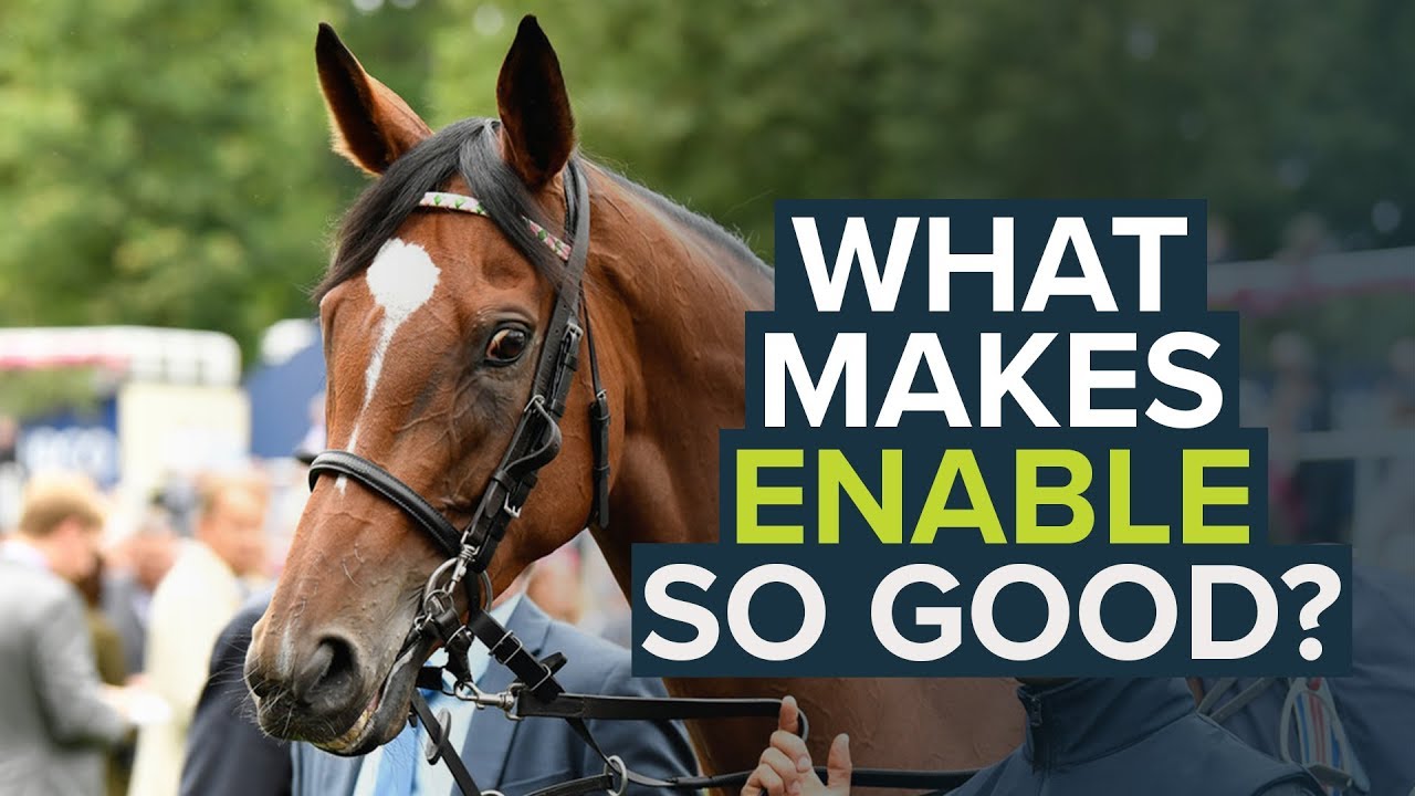 WHAT MAKES ENABLE SUCH A GOOD RACEHORSE?