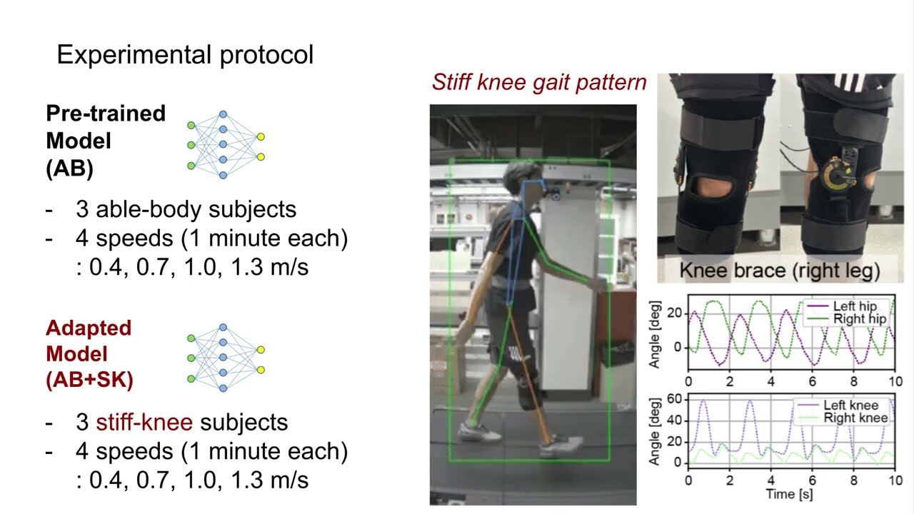 Personalizing Wearable Sensor-Based Joint Kinematics Estimation Using Computer Vision