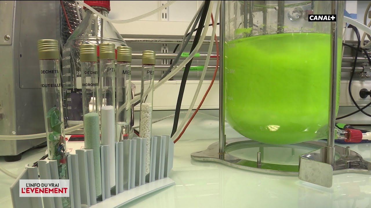 Innovation : du plastique 100 biodégradable
