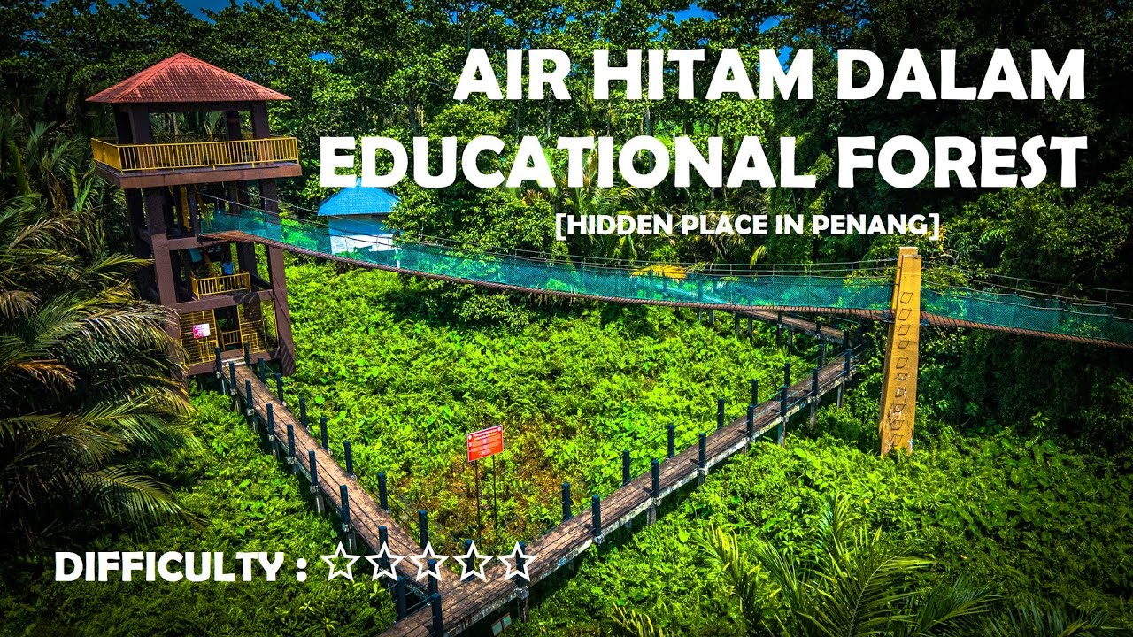 【Wild Wow #49.0】 Air Hitam Dalam Educational Forest | Hidden Place In Penang | Canopy Walkway | VLOG