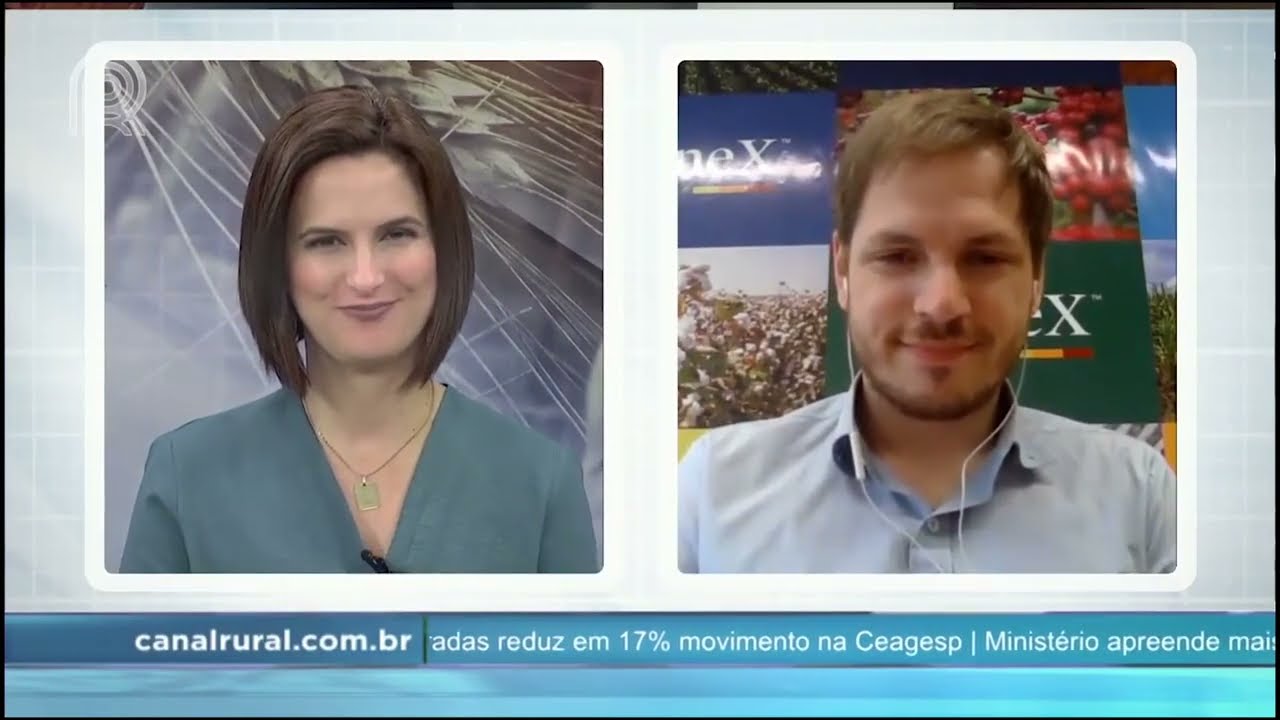 Pre&ccedil;o do trigo cai mais de 6% na Bolsa de Nova York | Canal Rural