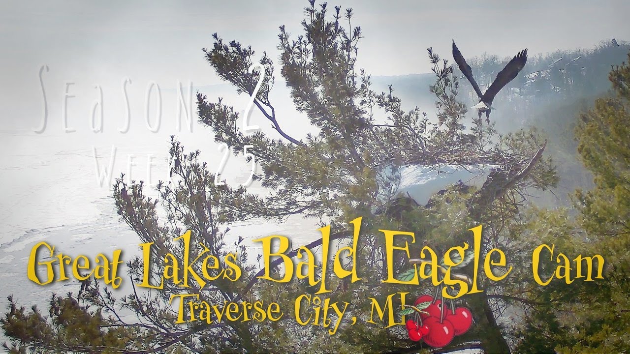 Winter Melts Away in Week 25 ❄️ | Nest Revealed as H&H Prepare for Egg Season!