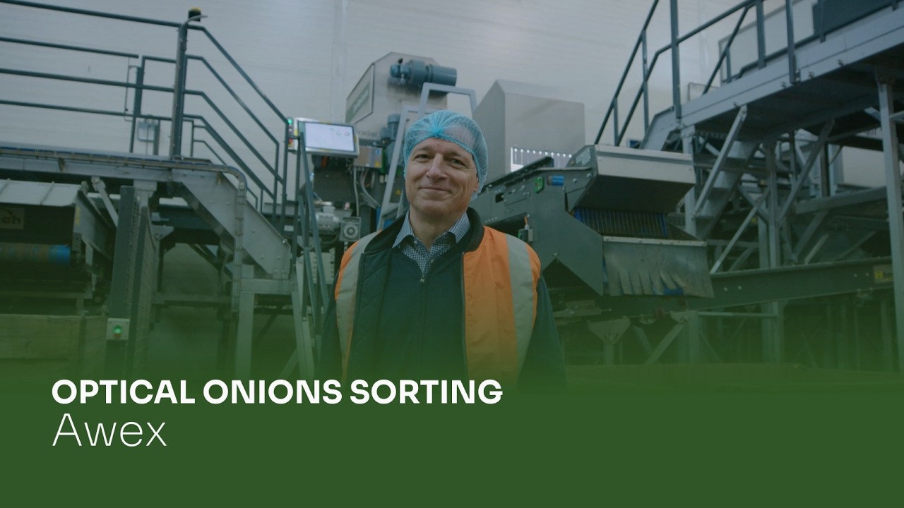 Consistent Onion Quality at Awex I Flikweert Vision