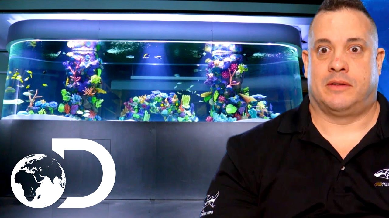 Trying to Install an 8000 Pound Fish Tank | Tanked