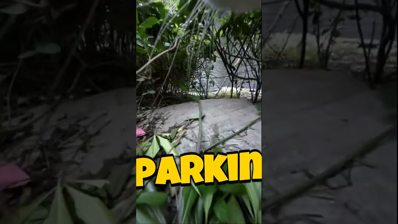 Storytime I Tried to Return to Nature 