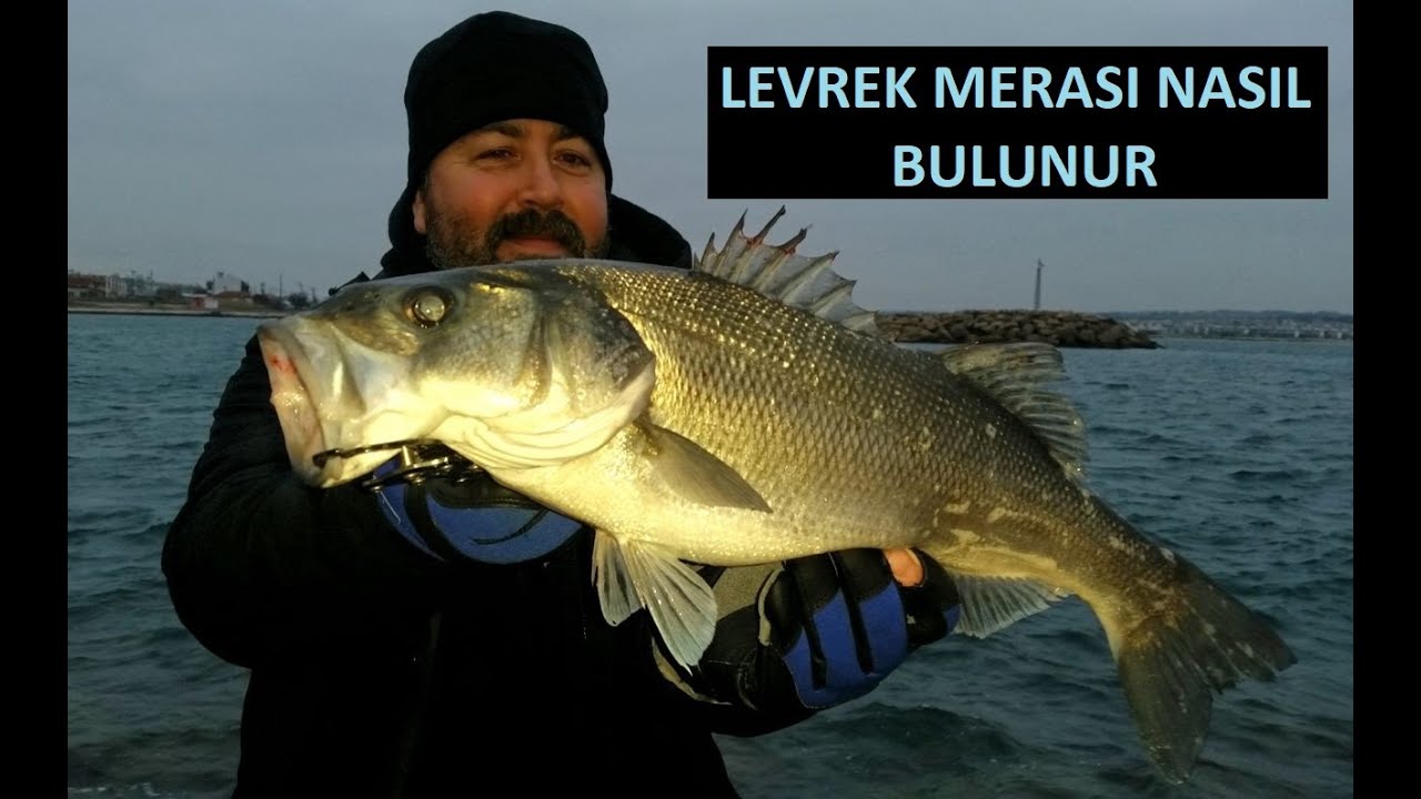 LEVREK MERASI NASIL BULUNUR MARMARA HAVA VE HARİTA OKUMA Kıyıdan Levrek Avı Tekniği