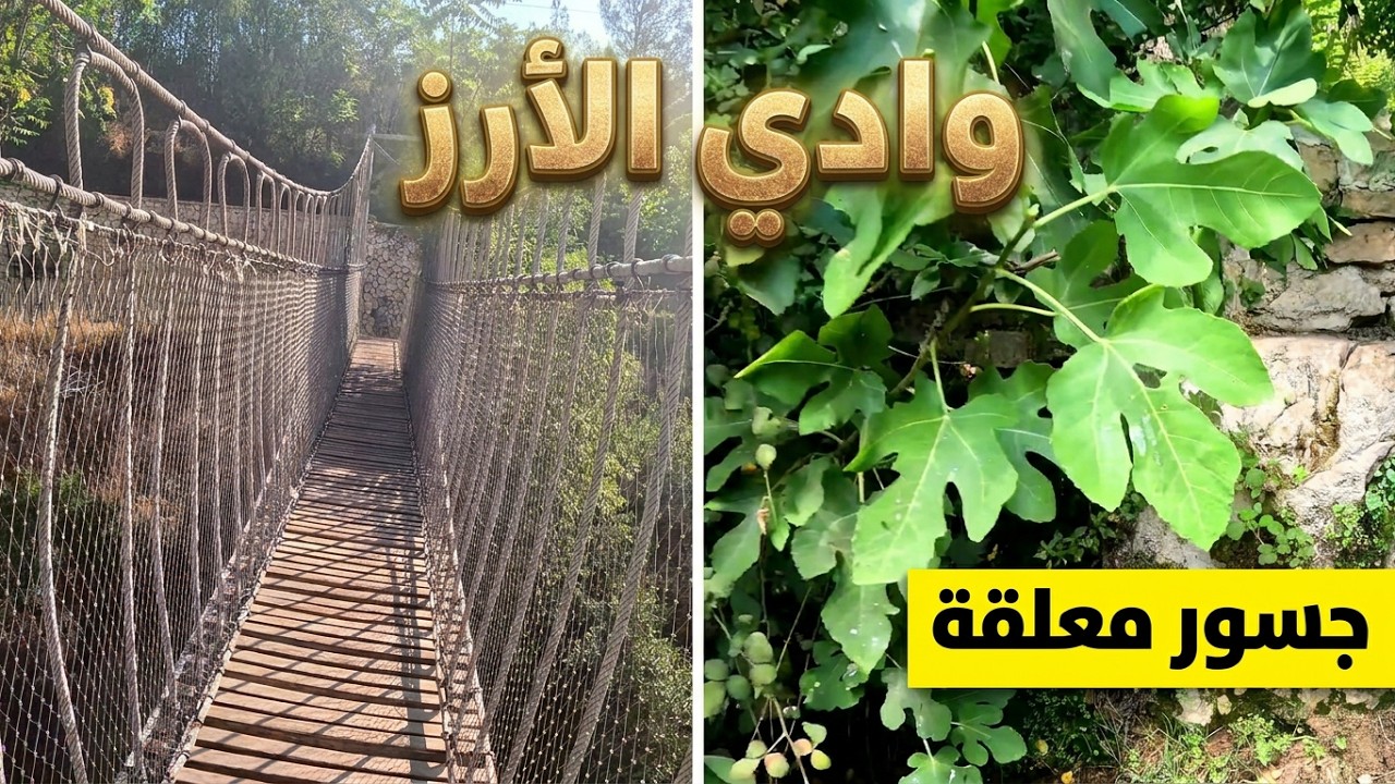 جولة كاملة في وادي الارز بالقدس #اكسبلور 4K #jerusalem