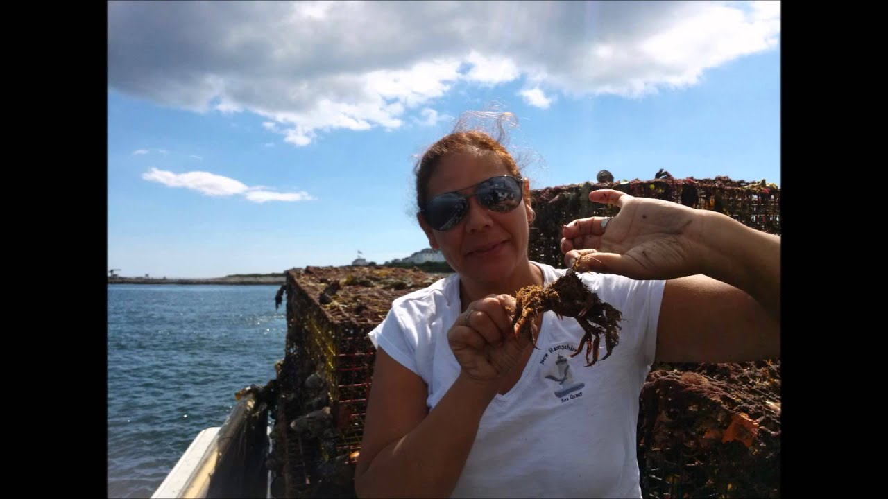 Lost Fishing Gear Retrieval Expedition, August 2014