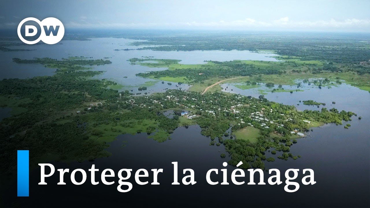 Proteger a la ciénaga de Zapatosa