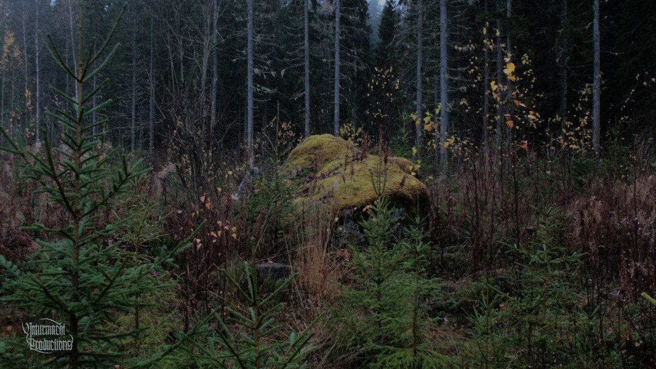 Naturmacht Compilation 2025