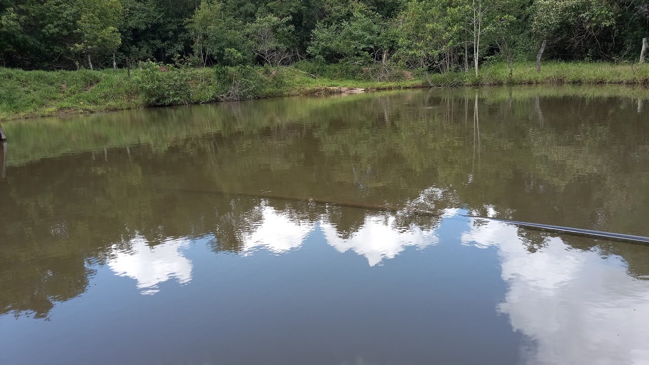Ch&aacute;cara de 2,5 hectares e muita  Rica em &aacute;gua valorR$450 000,00  Saiba mais  6299297 3453\bela vista