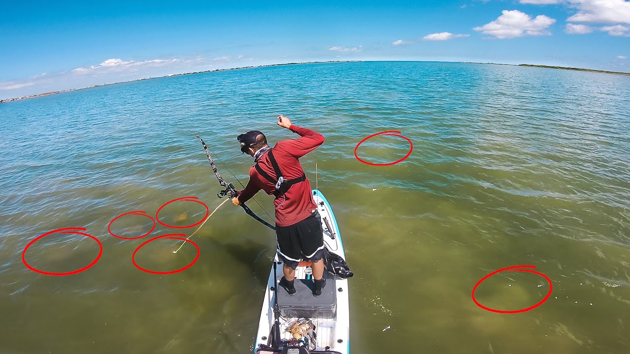 they came out of nowhere... TRIPLE THREAT CHALLENGE - flyfishing bowfishing lure fishing