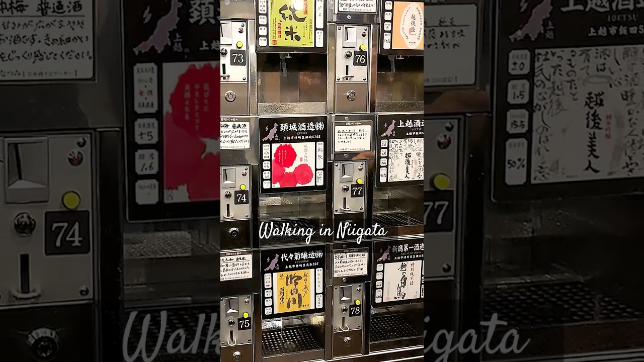 Walking in Niigata City, Japan.🚶#japan #japantravel #japanese #trip #shorts #shortstravel