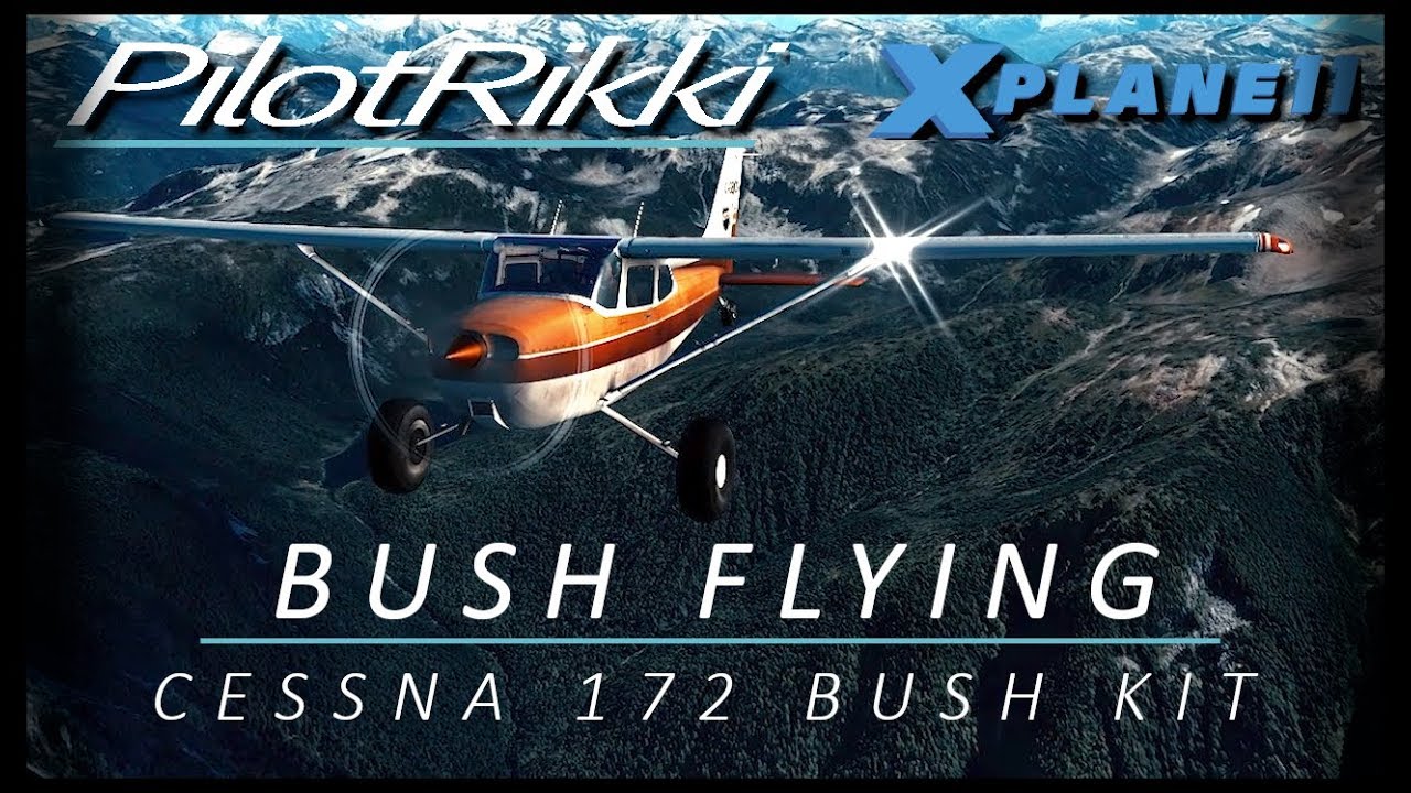 X plane 11 | Bush Flying | Cessna 172 Bush kit | Max Realism