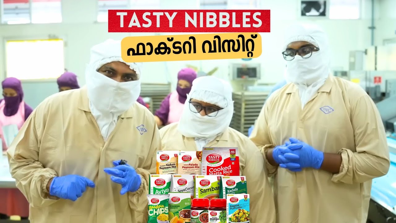 നാടൻ ഭക്ഷണം Ready to Eat ആക്കിയ Tasty Nibbles ന്റെ ഫാക്ടറിയിൽ പോയപ്പോൾ | Factory Visit