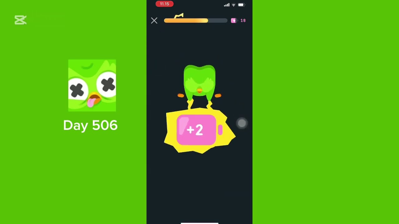 Duolingo Day 506