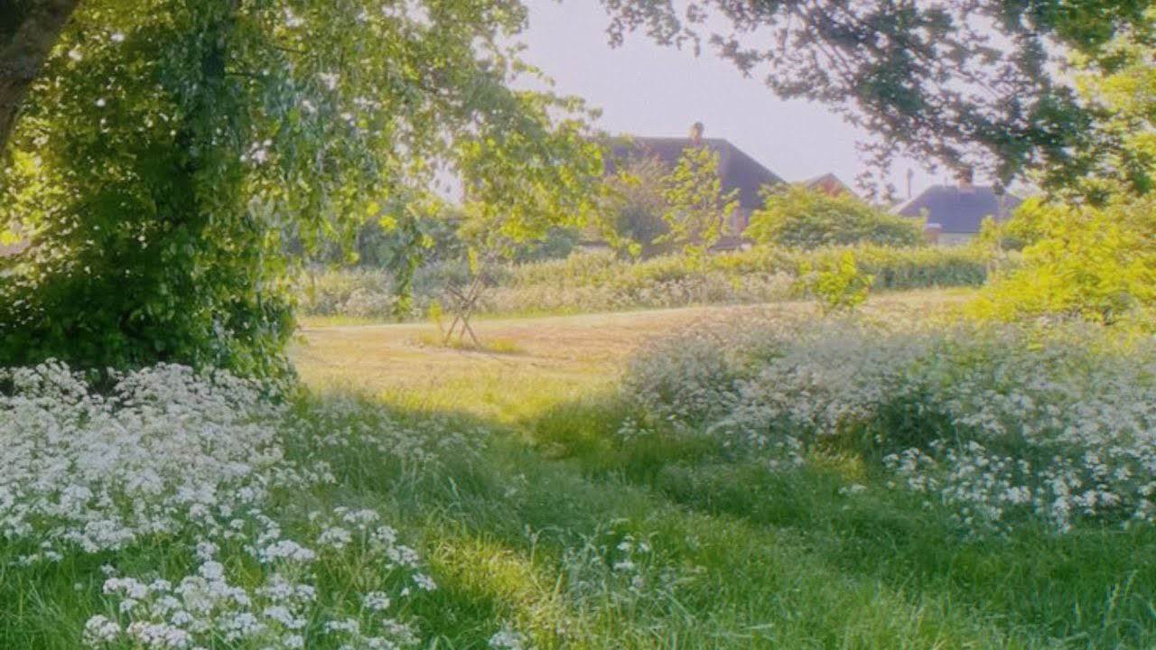 a quiet playlist for quiet moment, every morning🍃 (relaxing, reading & studying)