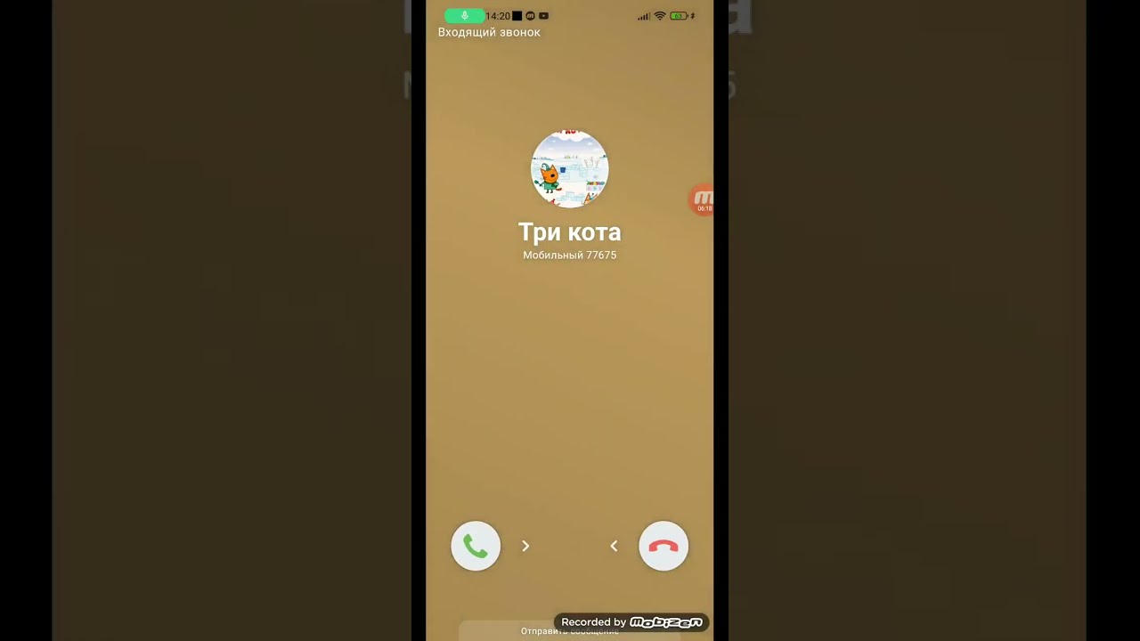 мне звонят три кота