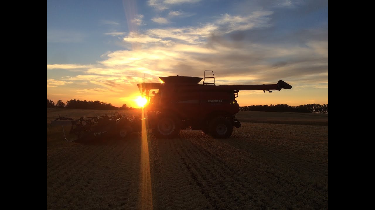 2015 barley harvest with Antler Valley Farm!