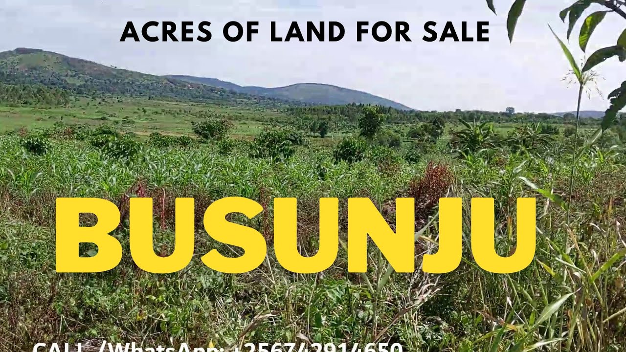 Acres Of Land For Sale In Busunjju, Ugx 25m Per Acre | Real Estate Uganda