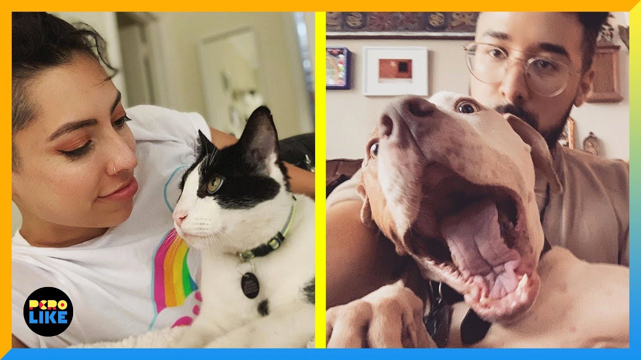 We Get A Reading From A Pet Psychic