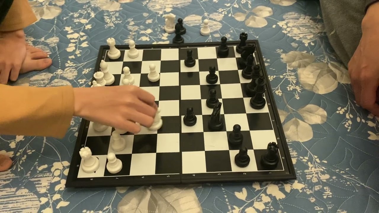 Hai bố con cò vạc chơi cờ vua 