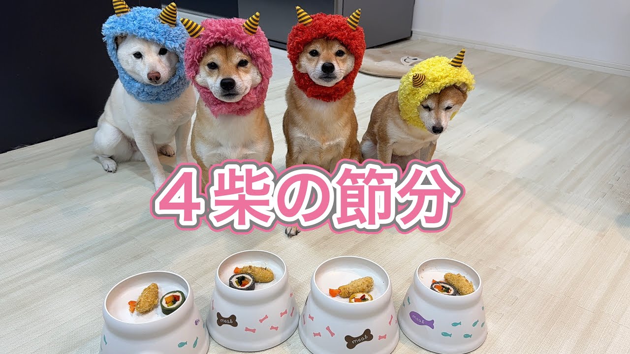 #19 【節分❣️】カラフルな鬼柴たち👹恵方巻きと豆を食べたよ