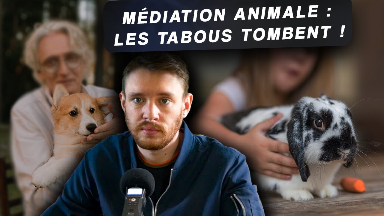 Médiation animale : les tabous tombent !