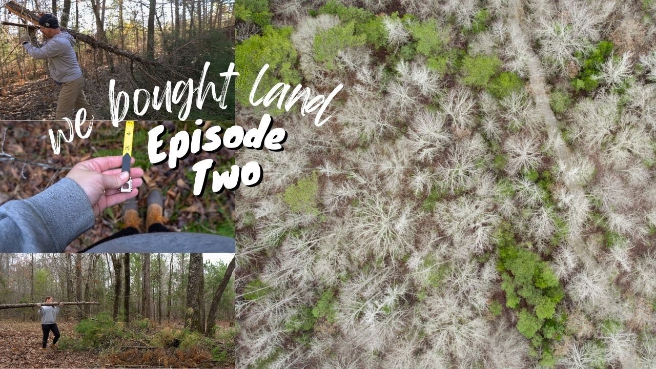 We Bought Land | Episode 2
