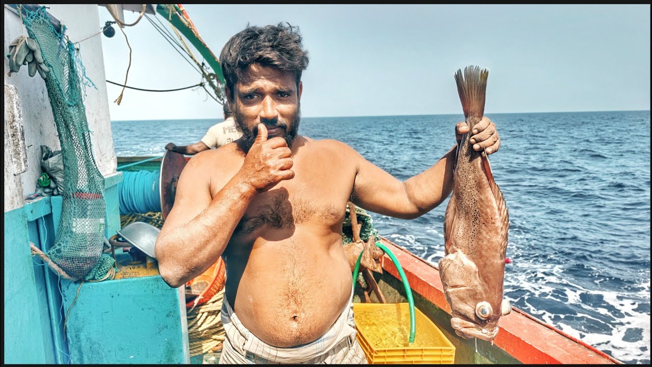 களவா மீன் கொழம்பு வைக்க போறோம்|Making Grouper Fish Curry in the Arabian Sea|#mandapammeenavan 