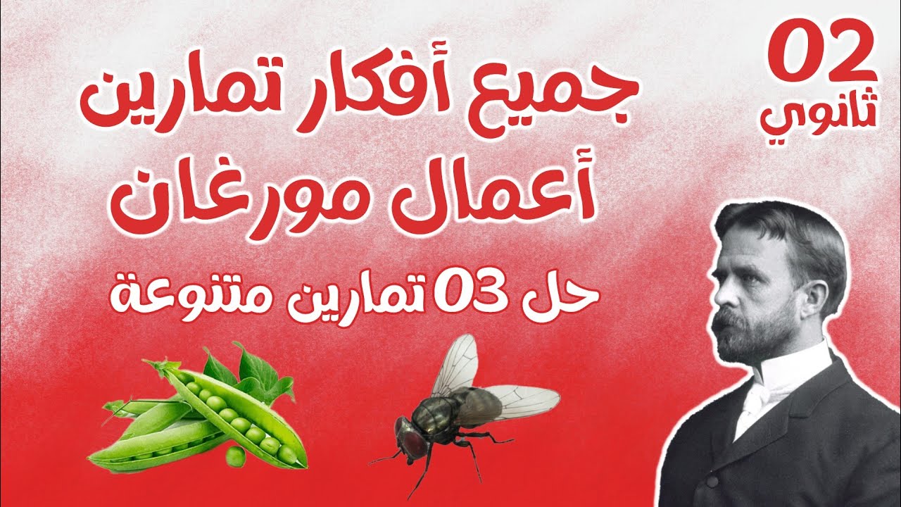ثانية ثانوي🔥تحدي للعم مورغان😎اقوى ملخص لافكار اعمال مورغان × حل 3 تمارين 🔥 لاختبارات الفصل 2