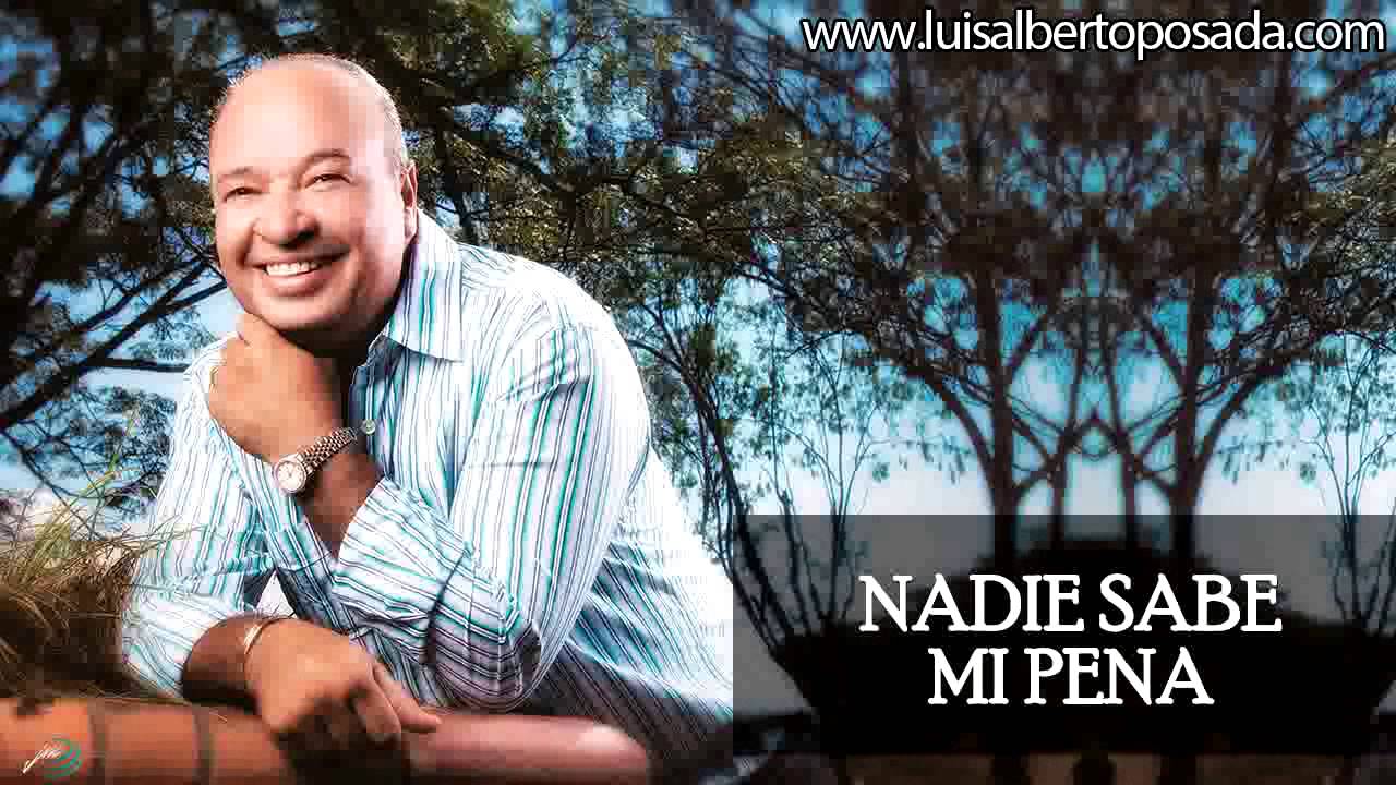 Luis Alberto Posada - Nadie Sabe Mi Pena (Audio Oficial)