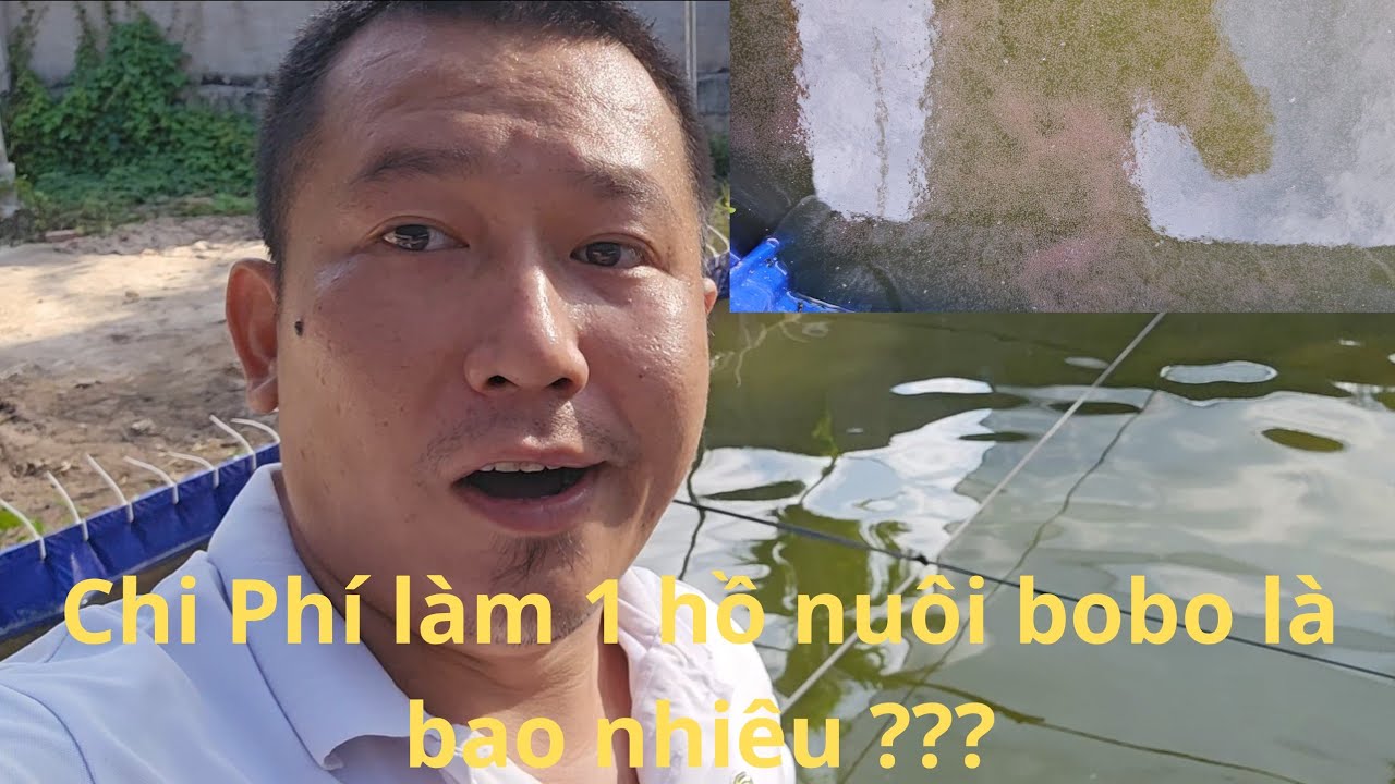 Hướng Dẩn Nuôi Bobo và Chia sẻ Chi Phí