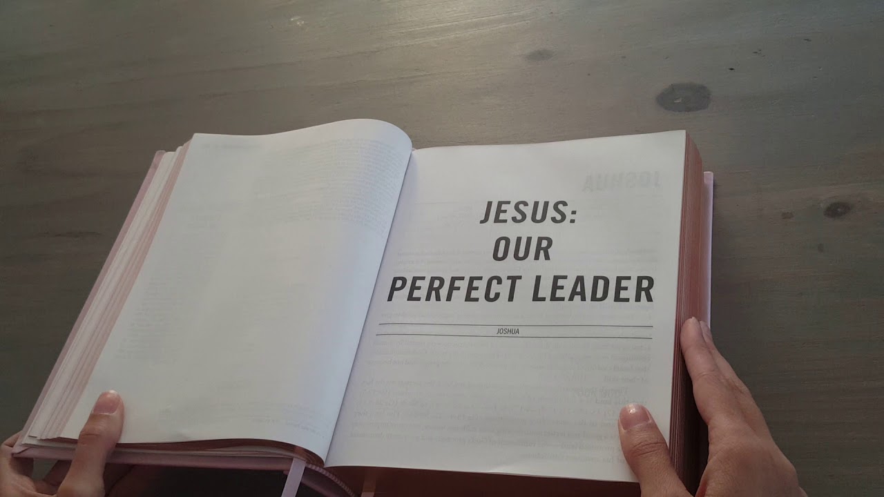 The Jesus Bible review