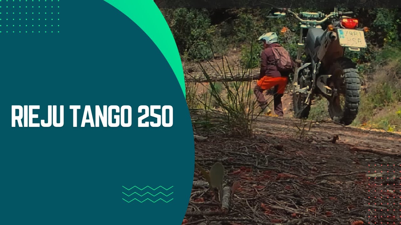 Rieju Tango 250 | Antes de la Tormenta