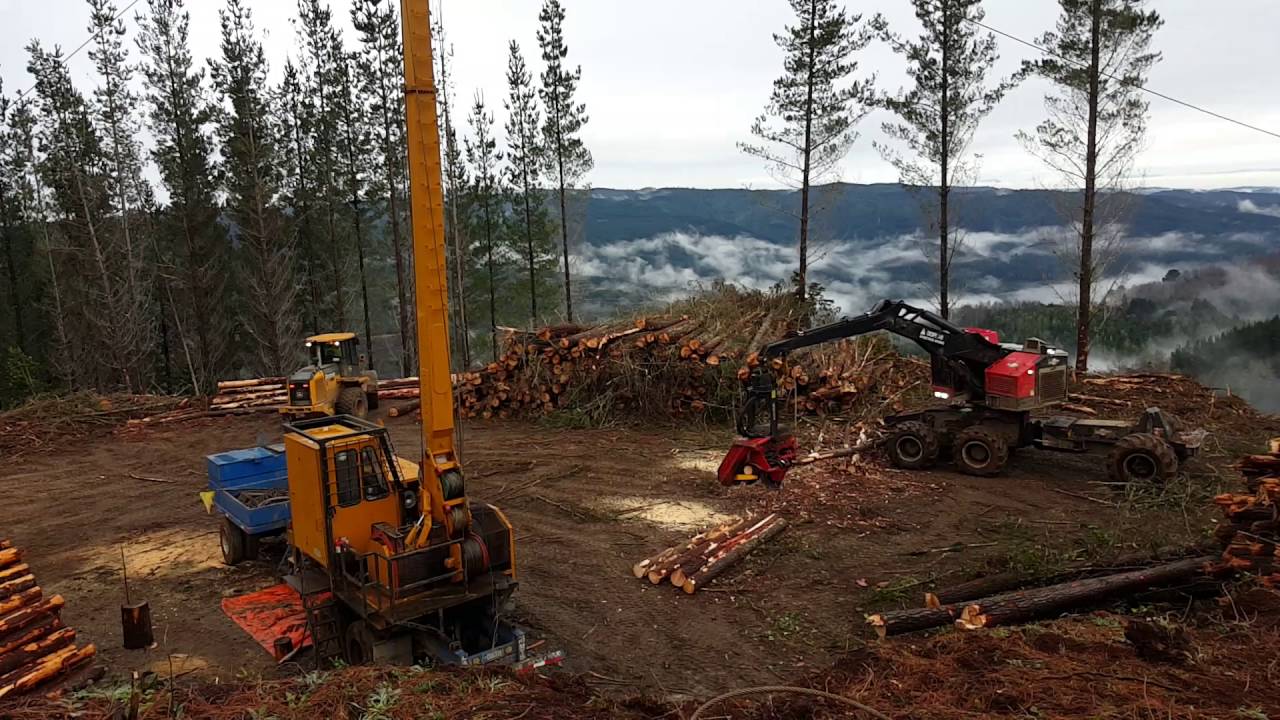 timberpro con procesado en cancha torre FULL HD 60fps