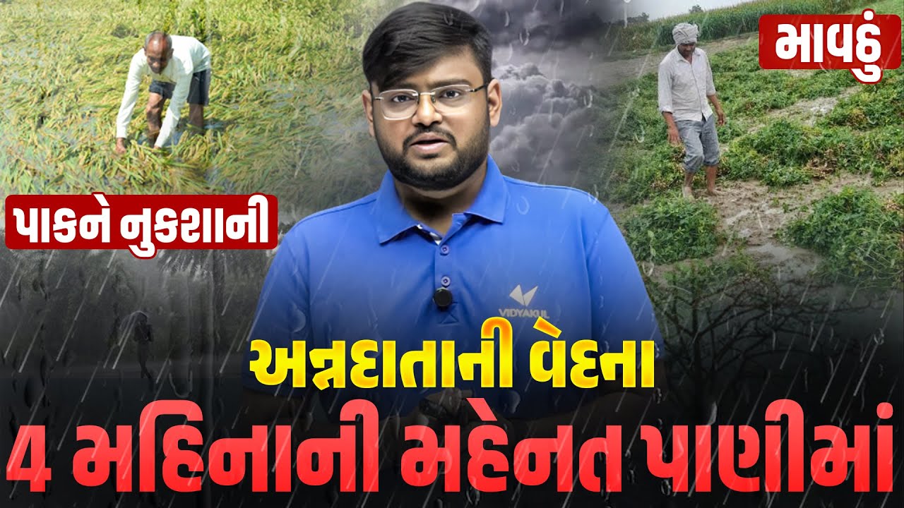 ભગવાન, હવે બસ કરો!🙏ખેડૂતની મહિનાઓની મહેનત પાણીમાં💔જુઓ અન્નદાતાની વેદના