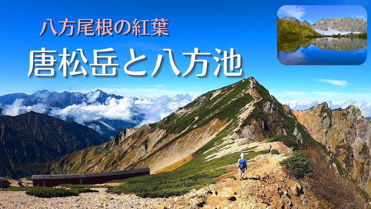 唐松岳と八方池【八方尾根の紅葉】 #唐松岳 #八方池 #八方尾根 #紅葉 #2024年