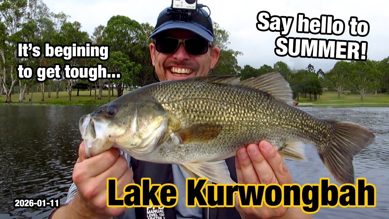 Say hello to summer! It's beginning to get tough at Lake Kurwongbah