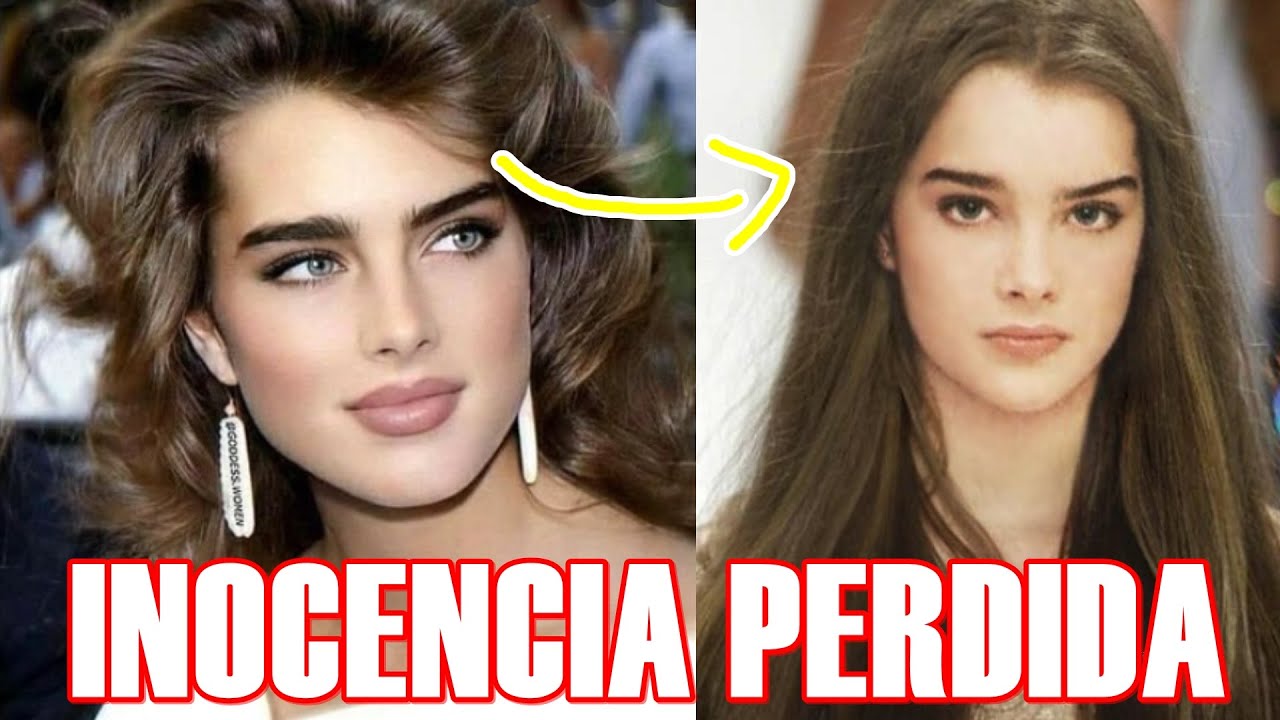 NACIÓ COMO DE UNA TELENOVELA BROOKE SHIELD  LA ETERNA BELLEZA  SUS DRAMAS AMORES Y DESAMORES