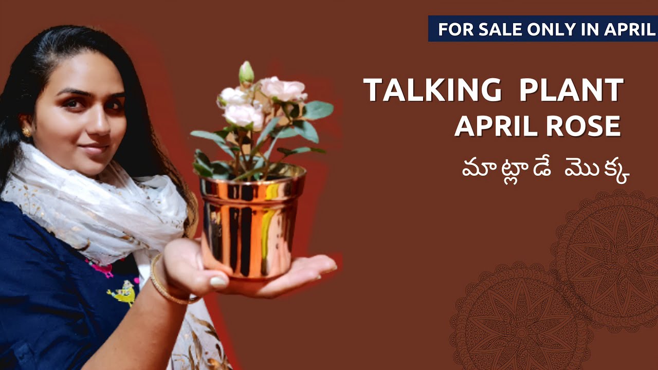 Talking Plant || April Rose || Anvitha Vlogs