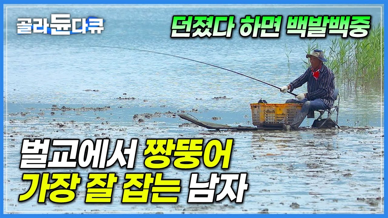 “어부 생활 40년이면 이 정도는 기본이야” 갯벌 낚시 고수의 짱뚱어 잘 잡는 비법│짱뚱어 훌치기 낚시│아주 각별한 기행│#골라듄다큐