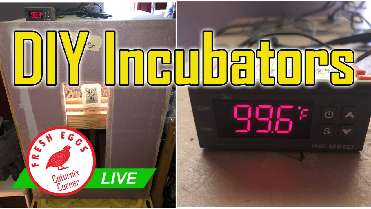 CC LIVE - DIY Incubators