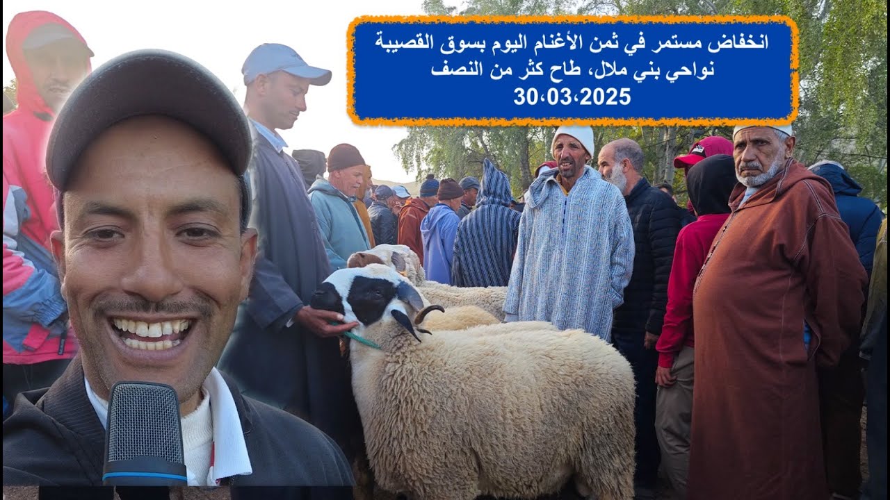 انخفاض مستمر في ثمن الأغنام اليوم بسوق القصيبة نواحي بني ملال، طاح كثر من النصف